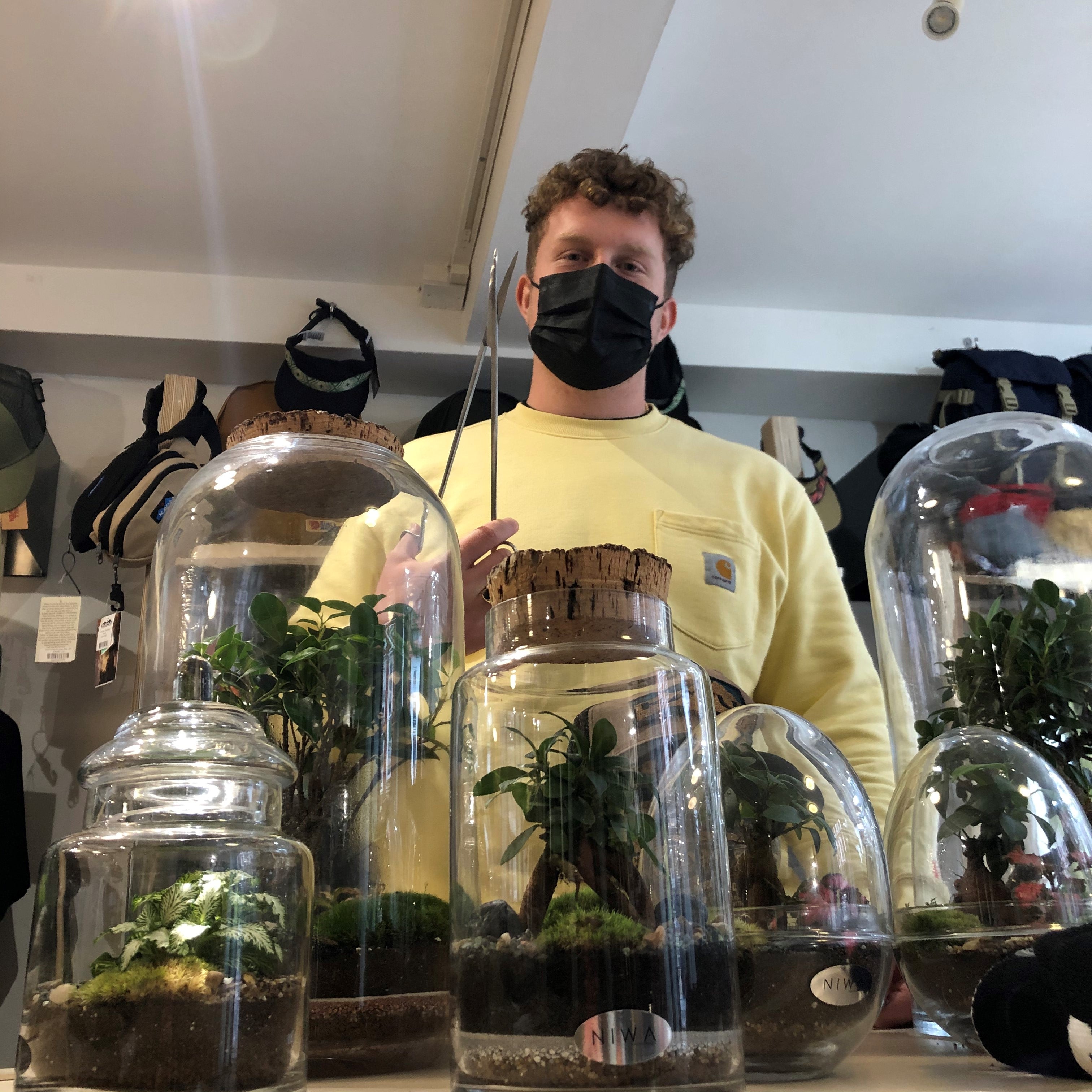 Tom and The Terrariums